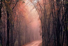 世界杯买球app -东吴証(zhèng)券：维持中国银河“买入”评级，多點(diǎn)开花支撐(chēng)业绩增長(zhǎng)