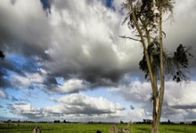 买球网站 -千万别找(zhǎo)“黄牛”！济南市汽车以旧换新(xīn)保姆(mǔ)级攻略(lüè)来了