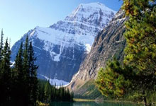 买球网站 -千万别找(zhǎo)“黄牛”！济南市汽车以旧换新(xīn)保姆(mǔ)级攻略(lüè)来了